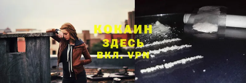 COCAIN Эквадор  купить закладку  Куйбышев 